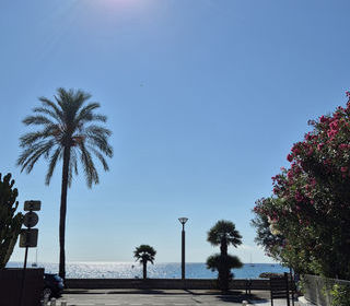  Appartement � vendre 2 pi�ces 30 m�