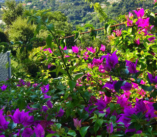  Appartement � vendre 3 pi�ces 70 m�