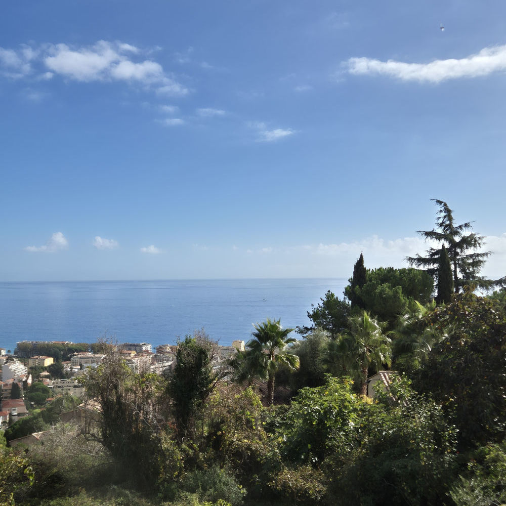 � vendre  Maison Roquebrune-Cap-Martin (06190)