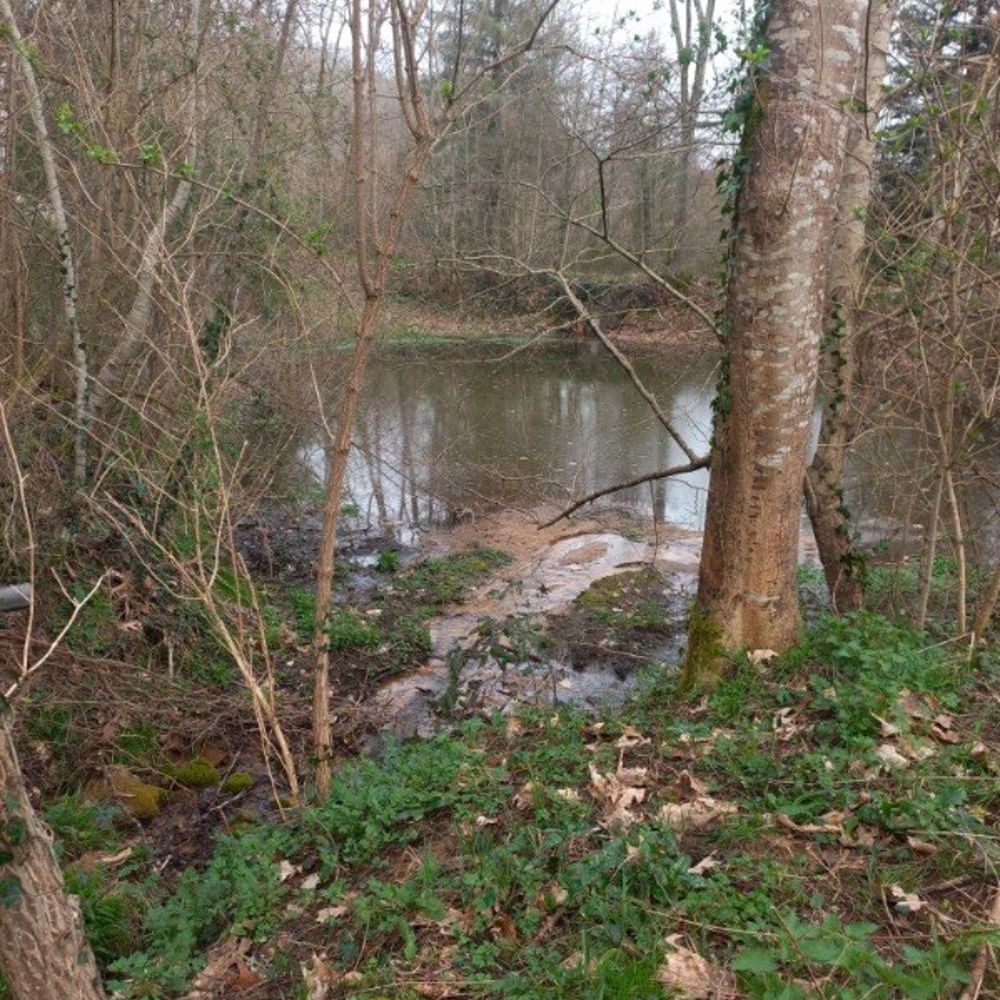 � vendre  Maison Cazals (46250)