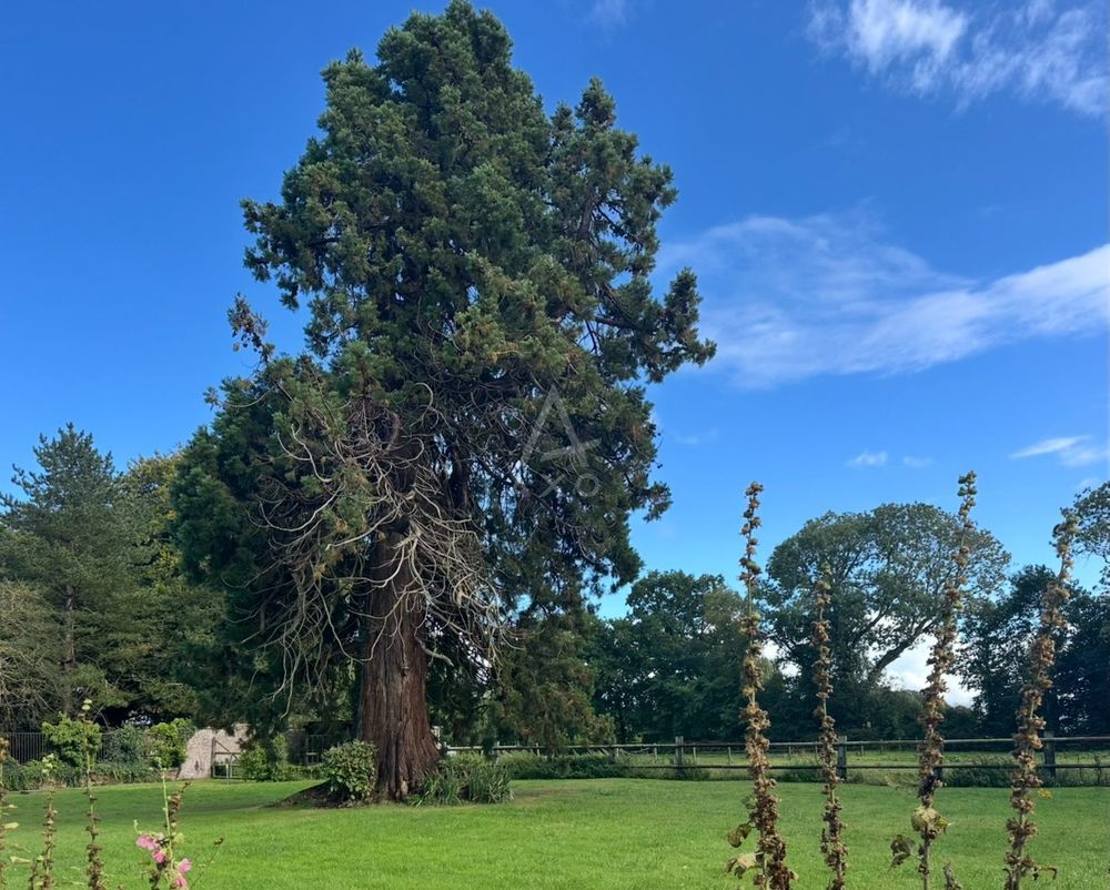 � vendre  Maison Dieppe (76200)