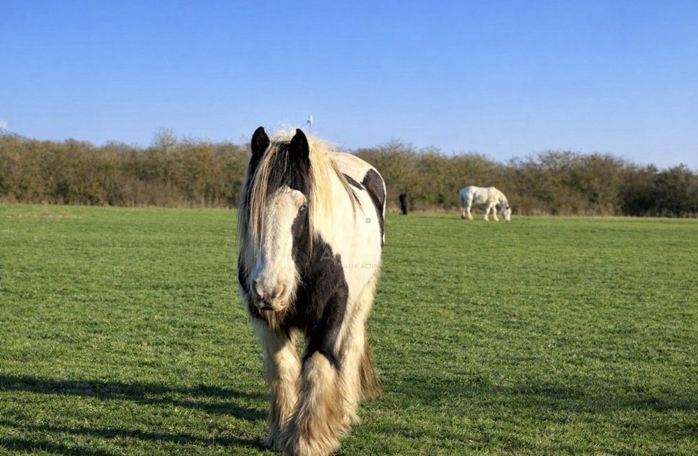 � vendre  Maison Verneuil-sur-Avre (27130)