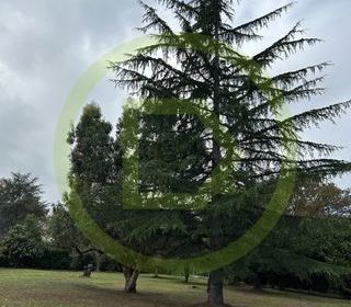  Terrain � vendre 1500 m�