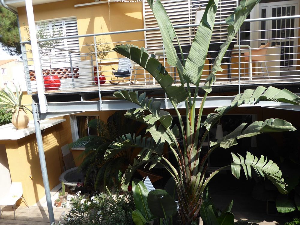 � vendre  Maison Argeles Plage (66700)