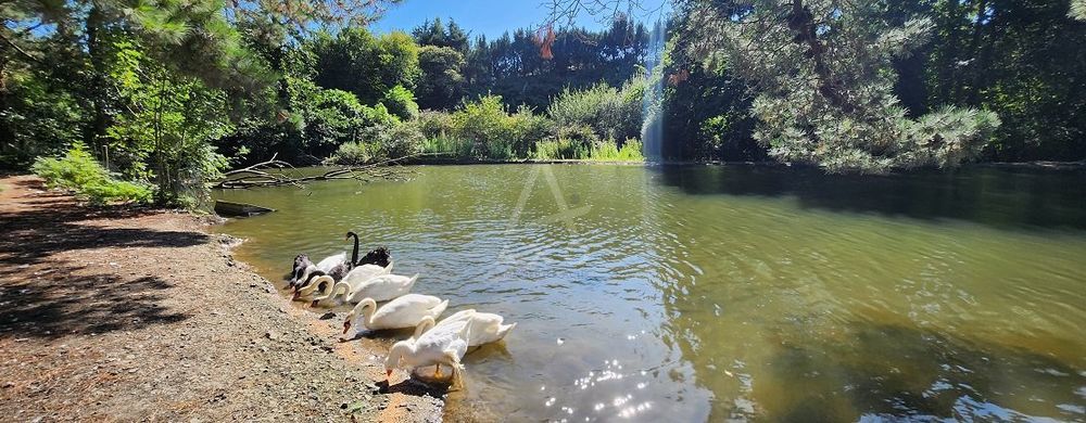 � vendre  Villa Yffiniac (22120)