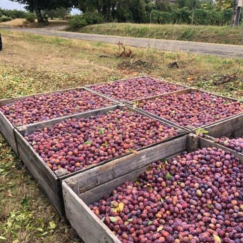 � vendre  Maison Mirabel (82440)