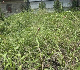  Terrain � vendre 115 m�