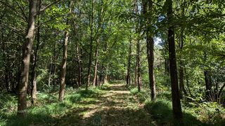  Maison � vendre 7 pi�ces 130 m�