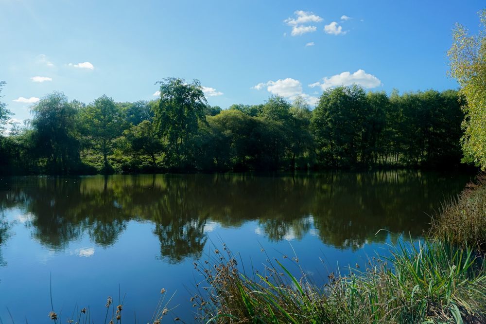 � vendre  Villa Saint-Jory-de-Chalais (24800)