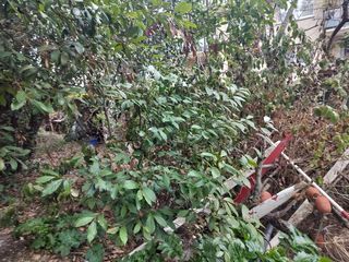  Terrain � vendre 769 m�