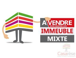 Immeuble � vendre 522 m�