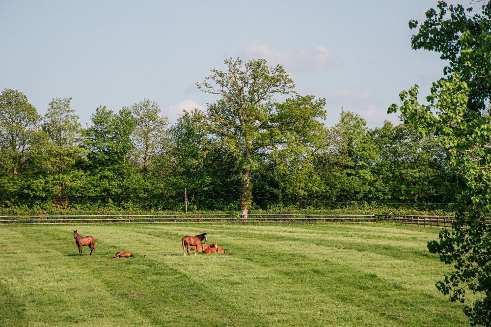 � vendre  Villa La Fert�-Mac� (61600)