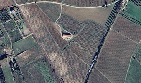   Propri�t� viticole Maison - 1 pi�ce(s)