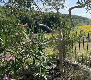  Villa � vendre 7 pi�ces 195 m�