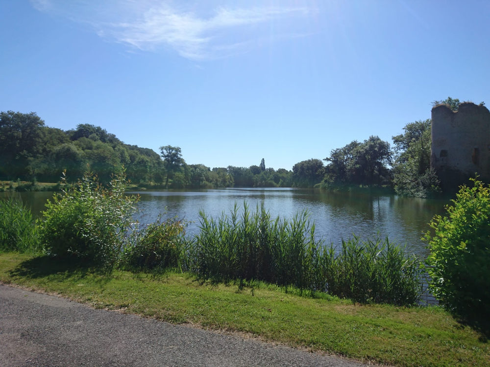 � vendre  Villa Saint-Jeanvrin (18370)