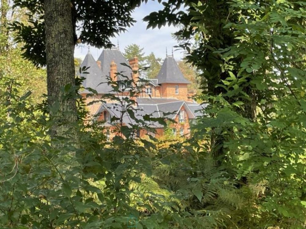 � vendre  Propri�t�/ch�teau Salbris (41300)