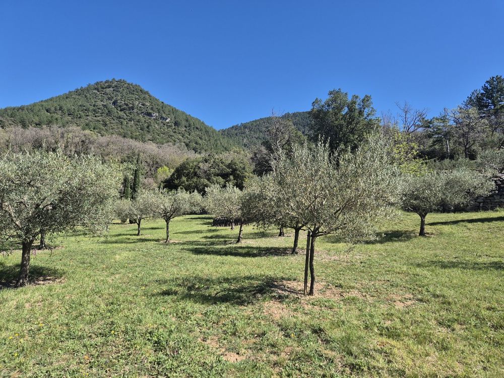 � vendre  Maison Soub�s (34700)