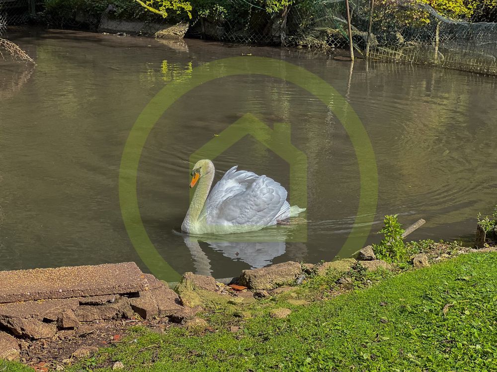 � vendre  Maison Lacroix-sur-Meuse (55300)