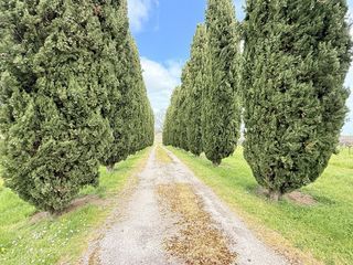  Maison � vendre 12 pi�ces 271 m�