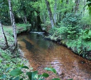  Propri�t�/ch�teau � vendre 15 + pi�ces 500 m�