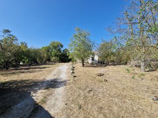  Maison � vendre 7 pi�ces 245 m�