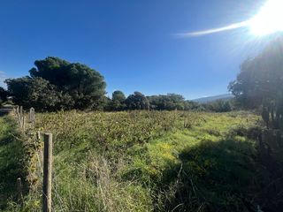  Terrain � vendre 30800 m�