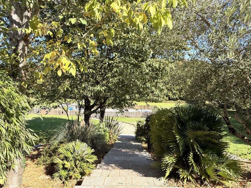 � vendre  Maison Pi�gut-Pluviers (24360)