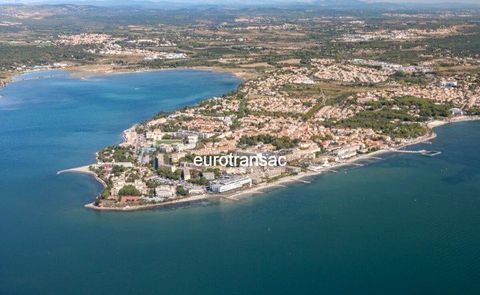 Local commercial 70000 34540 Balaruc les bains