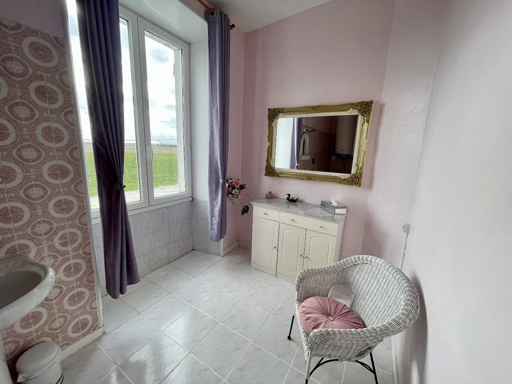 � vendre  Propri�t�/ch�teau Ardilleux (79110)