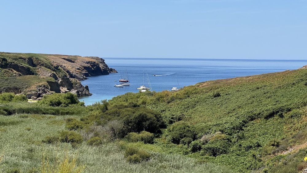 � vendre  Villa Sauzon (56360)