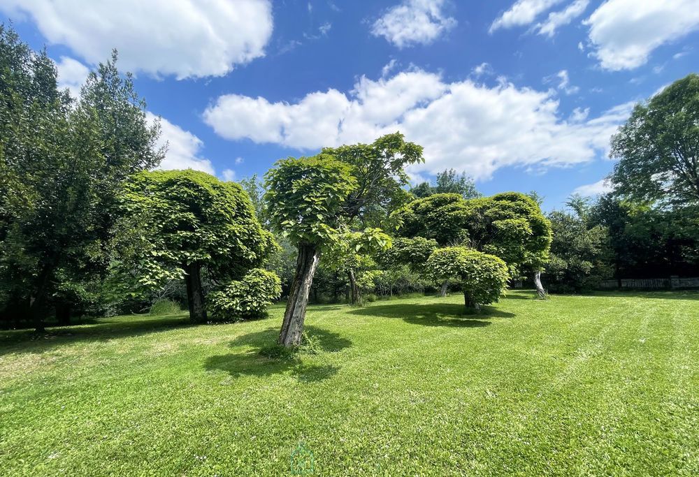 � vendre  Propri�t�/ch�teau Cherves-Richemont (16370)