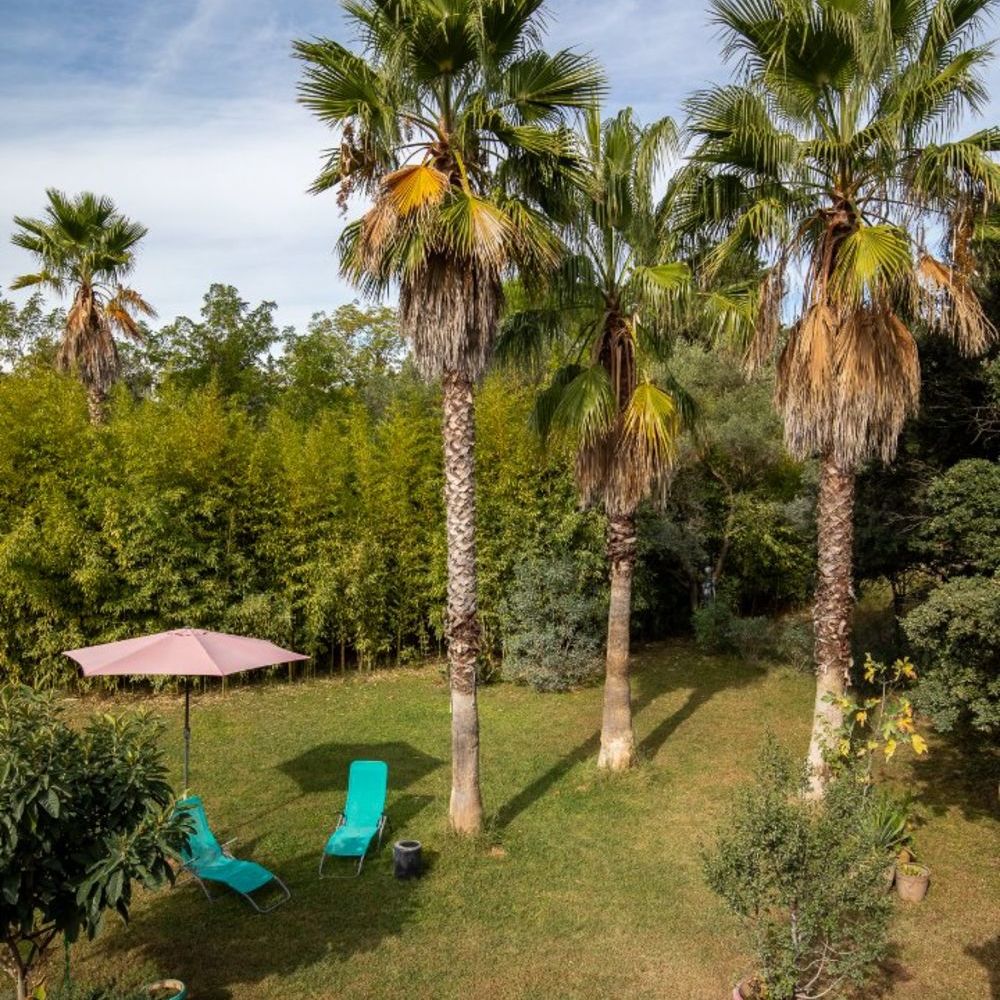 � vendre  Maison Castelnau-le-Lez (34170)