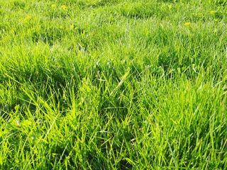  Terrain � vendre 860 m�