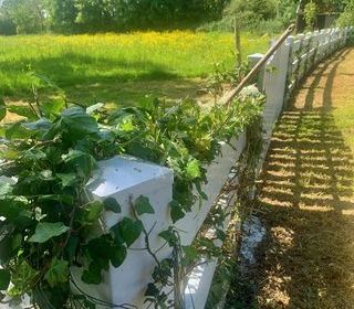  Maison � vendre 15 + pi�ces 440 m�