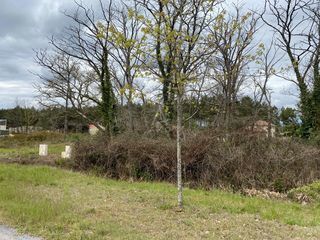  Terrain � vendre 1537 m�