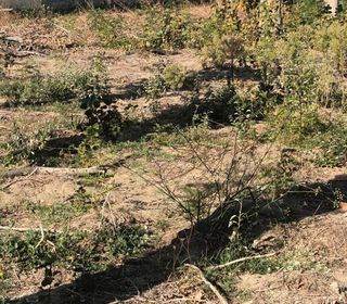  Terrain � vendre 802 m�