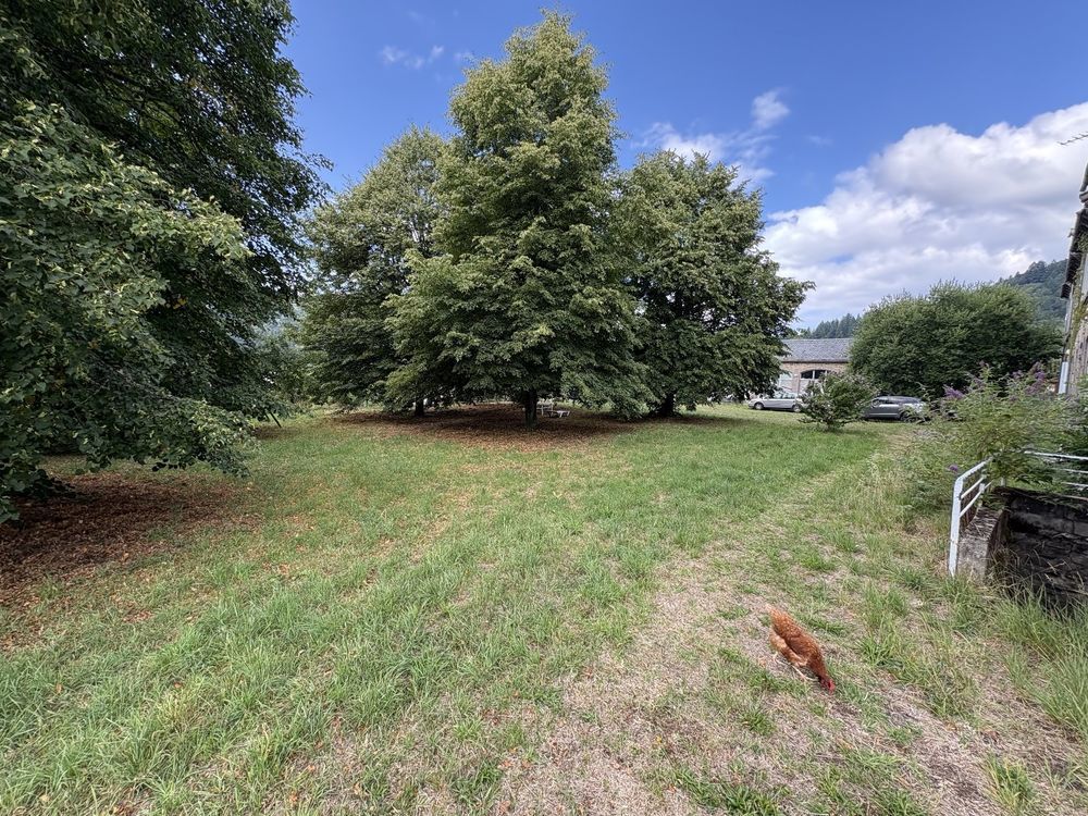 � vendre  Maison Condat (15190)