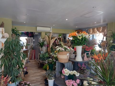 Fleuriste 34000 76950 Les grandes ventes