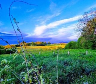  Maison � vendre 8 pi�ces 173 m�