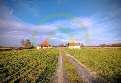   Maison Maison - 10 pi�ce(s) - 180 m�