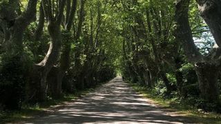  Maison � vendre 15 + pi�ces 916 m�