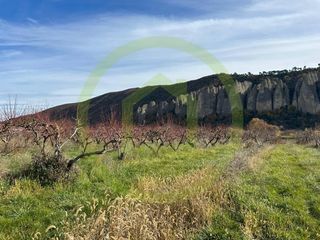  Terrain � vendre 961 m�