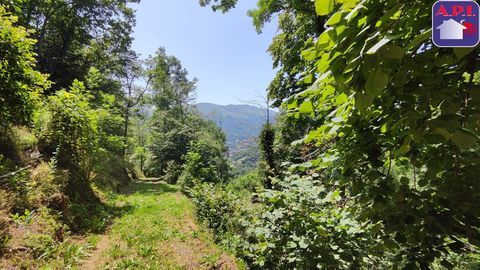   Grange Maison - 1 pi�ce(s) - 37 m�