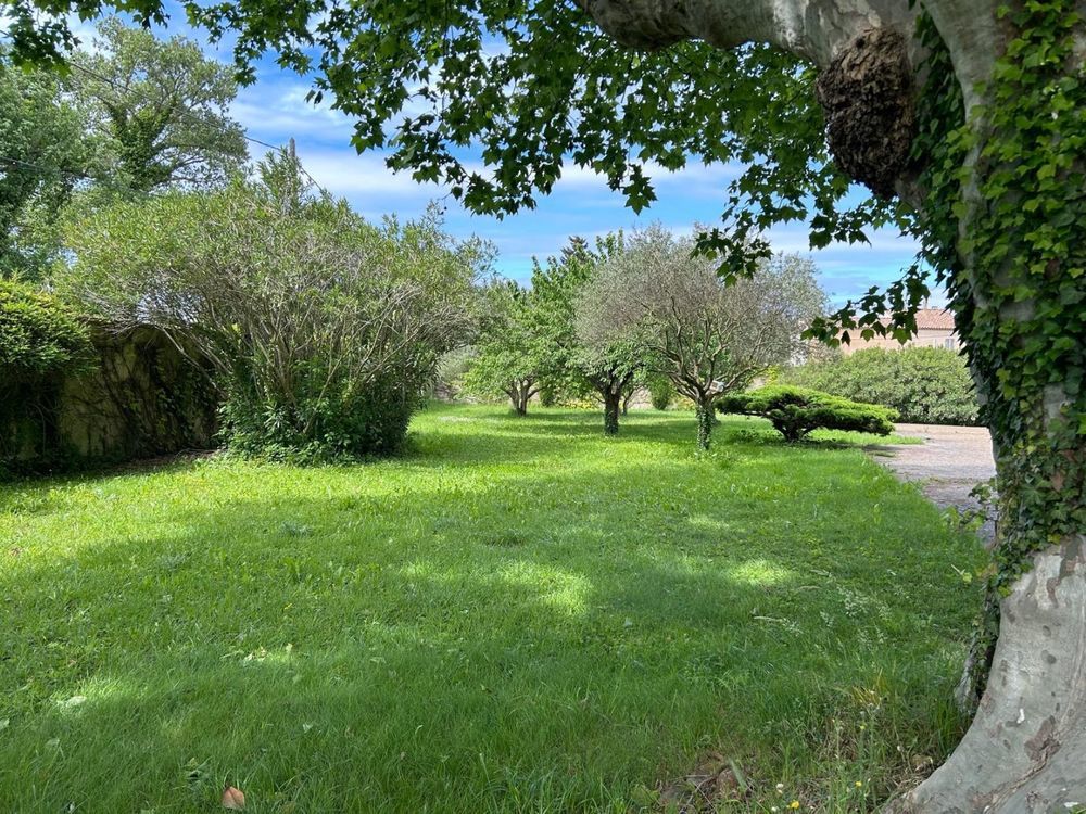 � vendre  Maison Monteux (84170)