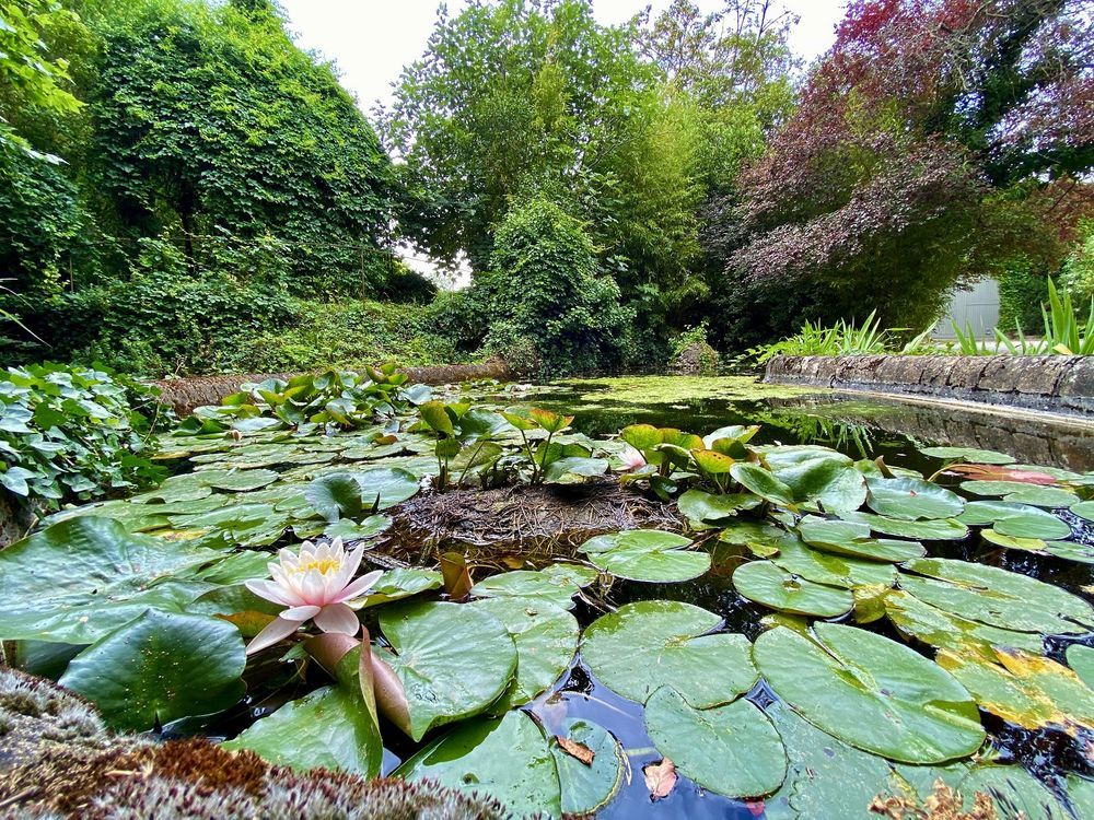 � vendre  Maison Carcassonne (11000)