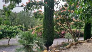  Maison � vendre 6 pi�ces 284 m�