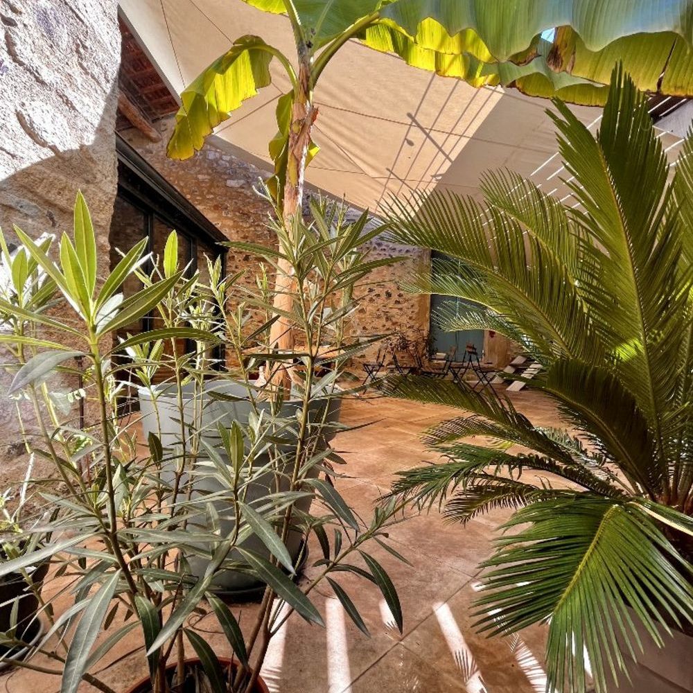 � vendre  Villa P�zenas (34120)