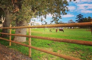  Maison � vendre 6 pi�ces 240 m�