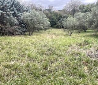  Terrain � vendre 880 m�