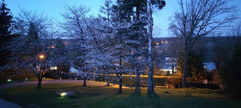 � vendre  Villa Fontainebleau (77300)